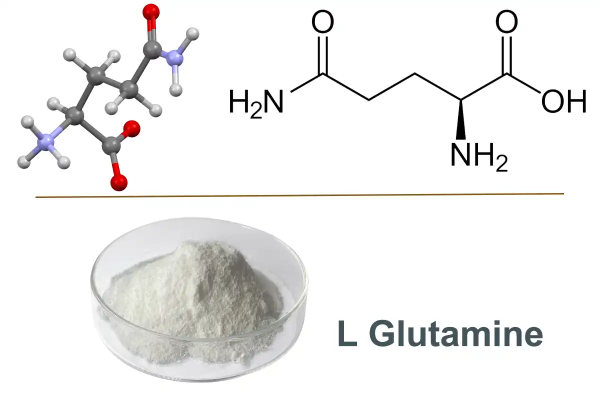 L Glutamine Supplier.jpg